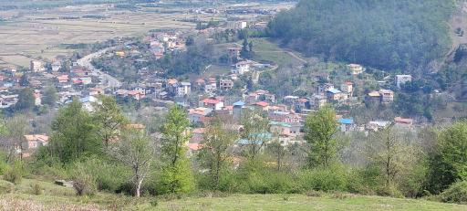 عکس کلیج خیل