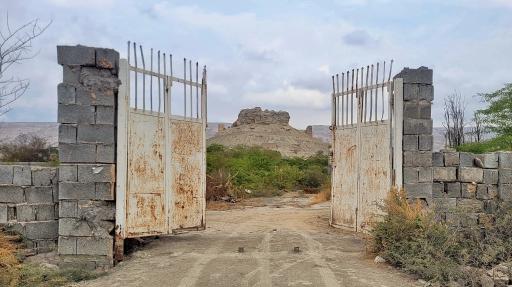 عکس فین