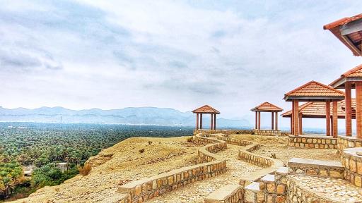 عکس فین