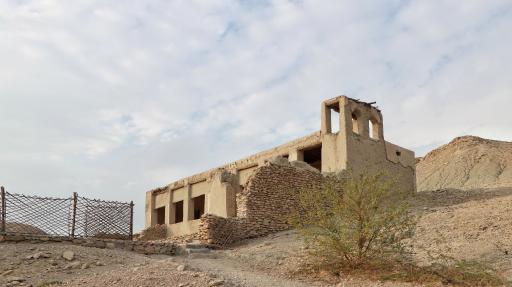 عکس فین