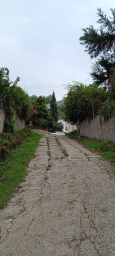 عکس کلیج خیل