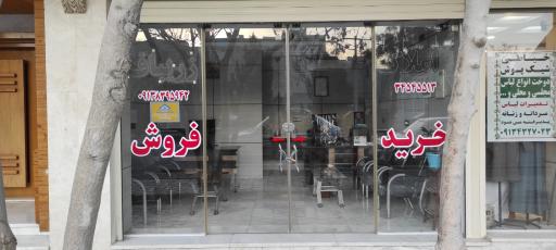 عکس مشاور املاک زریباف