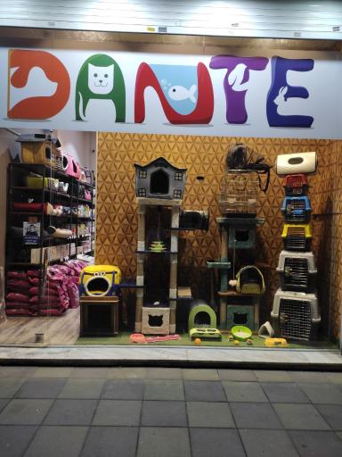 عکس پت شاپ دانته