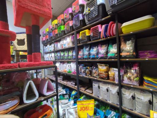 عکس پت شاپ دانته