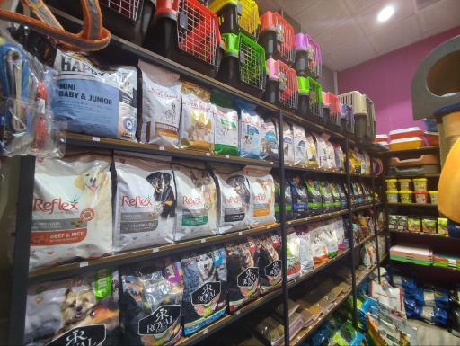 عکس پت شاپ دانته