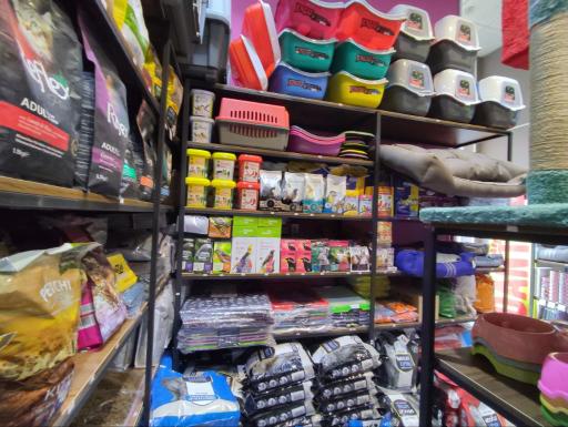 عکس پت شاپ دانته