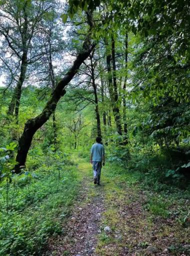 عکس پارک جنگلی چالدره