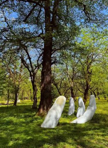 عکس پارک جنگلی چالدره