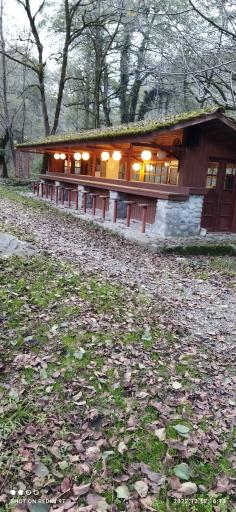 عکس پارک جنگلی چالدره