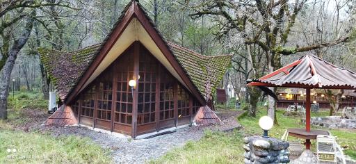 عکس پارک جنگلی چالدره