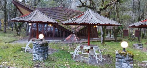 عکس پارک جنگلی چالدره