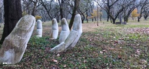 عکس پارک جنگلی چالدره