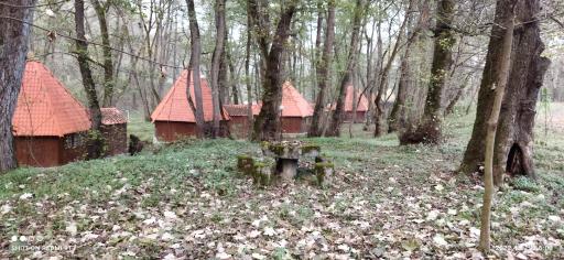 عکس پارک جنگلی چالدره