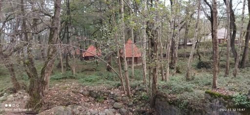 عکس پارک جنگلی چالدره