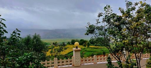 عکس توتکابن