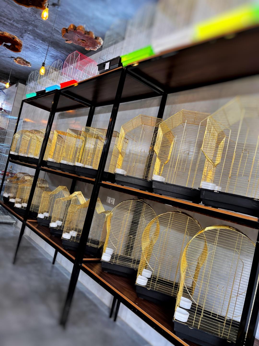 عکس فروشگاه قفسان