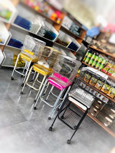 فروشگاه قفسان