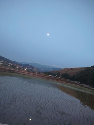 عکس توتکابن