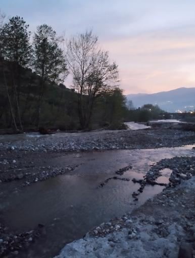 عکس توتکابن