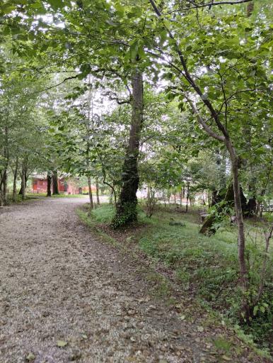 عکس پارک جنگلی چالدره