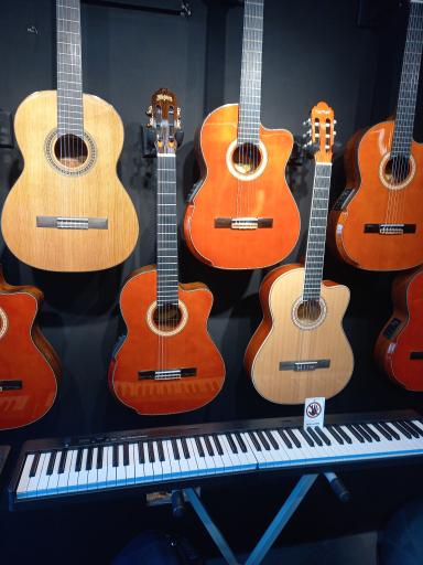 عکس فروشگاه موسیقی باربد