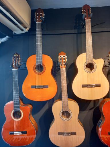 عکس فروشگاه موسیقی باربد