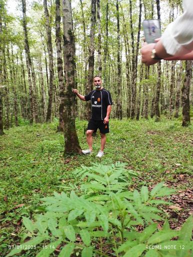 عکس پارک جنگلی چالدره