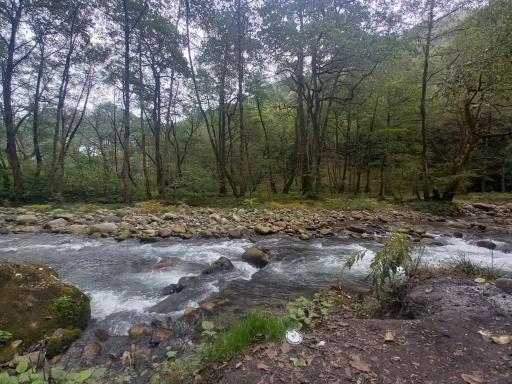 عکس پارک جنگلی چالدره