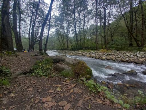 عکس پارک جنگلی چالدره