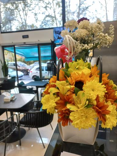 عکس باربیکیو شهرک