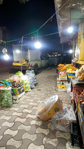 عکس توتکابن