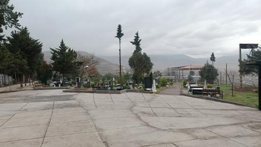 عکس توتکابن