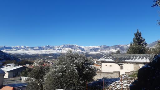 عکس توتکابن