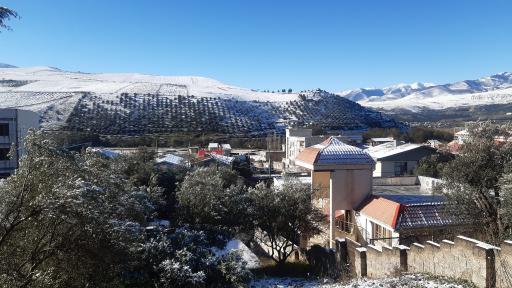 عکس توتکابن