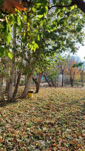 عکس اردوگاه آموزشی تربیتی مفتاح حوزه علمیه