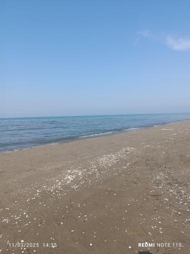 عکس ساحل محمودآباد
