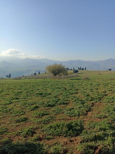 عکس روستای نصفی