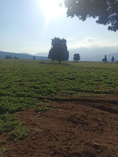 عکس روستای نصفی