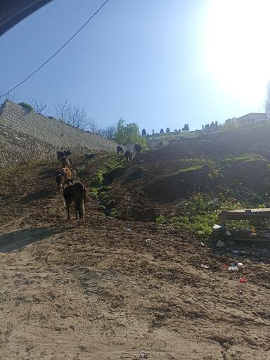 عکس روستای نصفی
