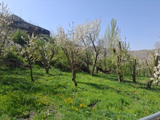 عکس اردوگاه آموزشی تربیتی مفتاح حوزه علمیه