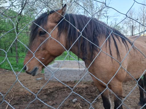 عکس اردوگاه آموزشی تربیتی مفتاح حوزه علمیه