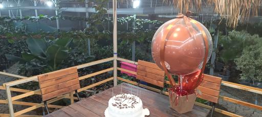 عکس کافه روما