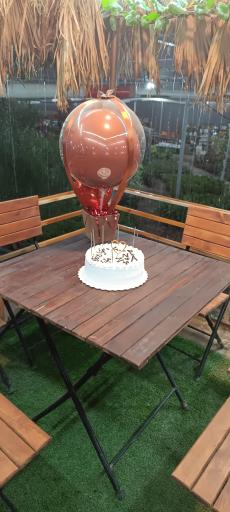 عکس کافه روما