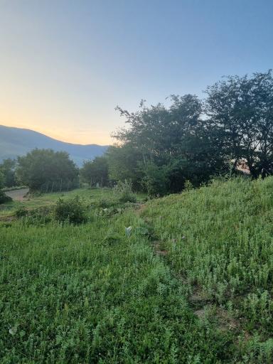 عکس روستای نصفی
