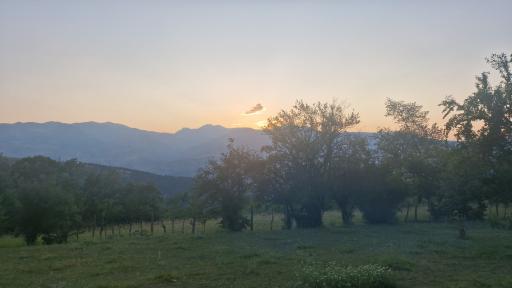 عکس روستای نصفی