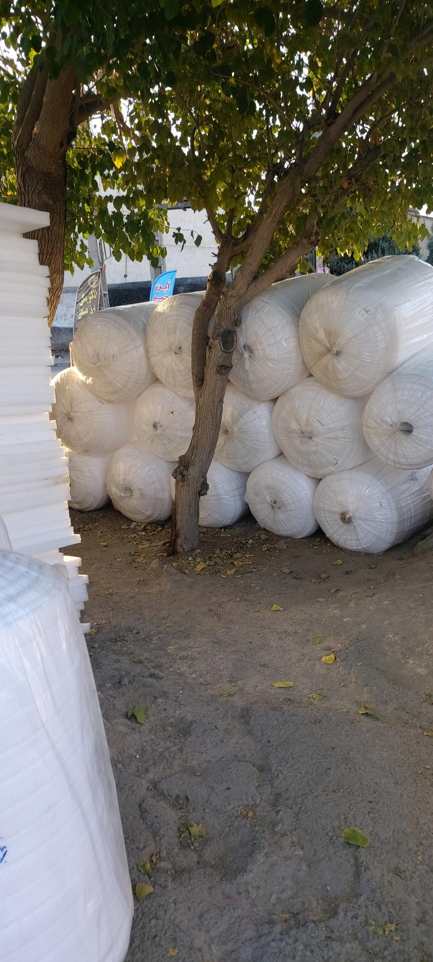 عکس صاف فووم