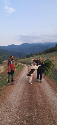 عکس روستای نصفی