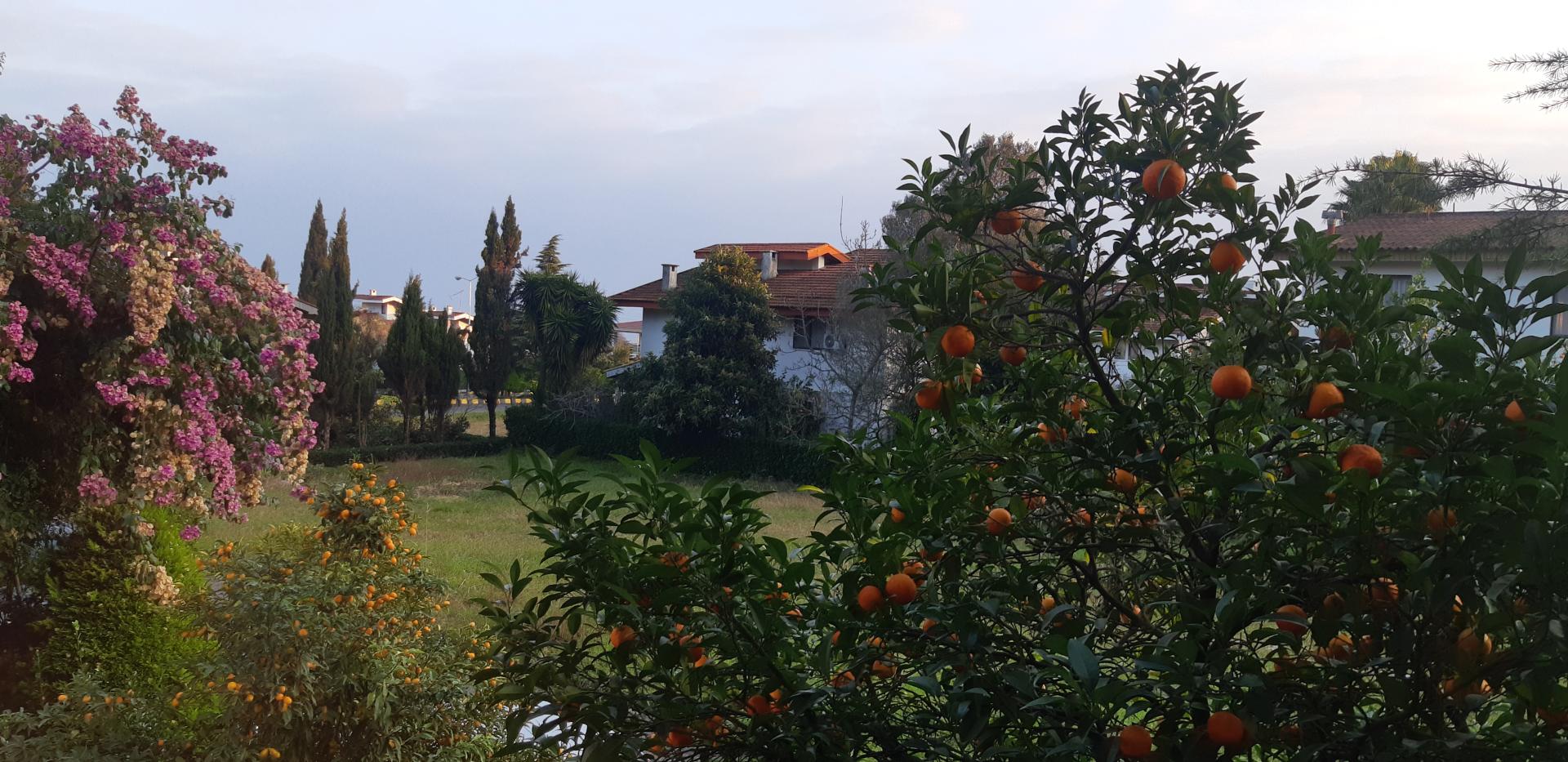 عکس شهرک ویلایی مهستان