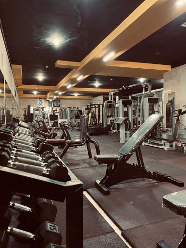 عکس باشگاه بدنسازی برادران نیمروزی