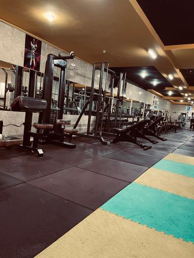 عکس باشگاه بدنسازی برادران نیمروزی